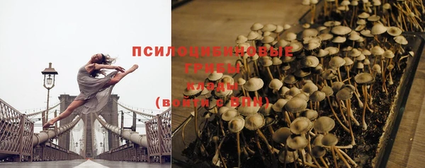 гашиш Арсеньев